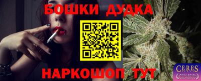 индика Кандалакша