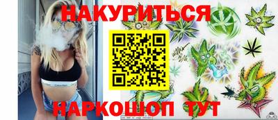 прущие грибы Канаш