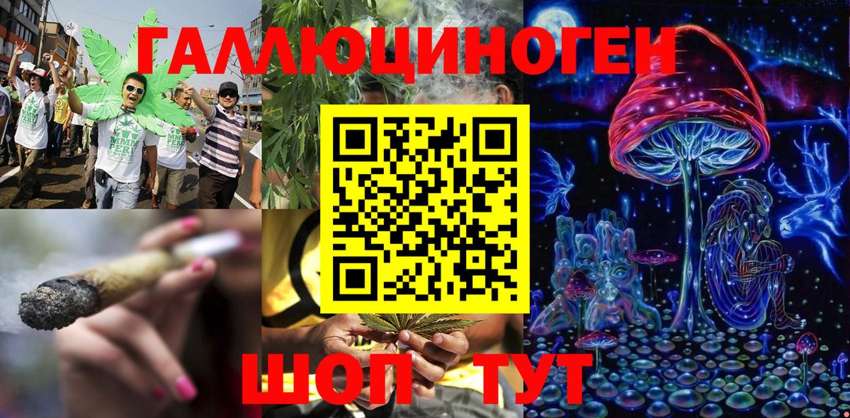 Галлюциногенные грибы Psilocybe Валуйки