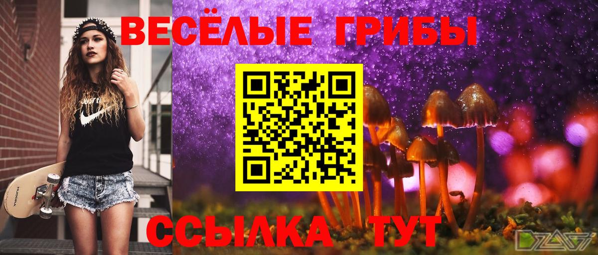 Валуйки  Галлюциногенные грибы прущие грибы  Вход с VPN 